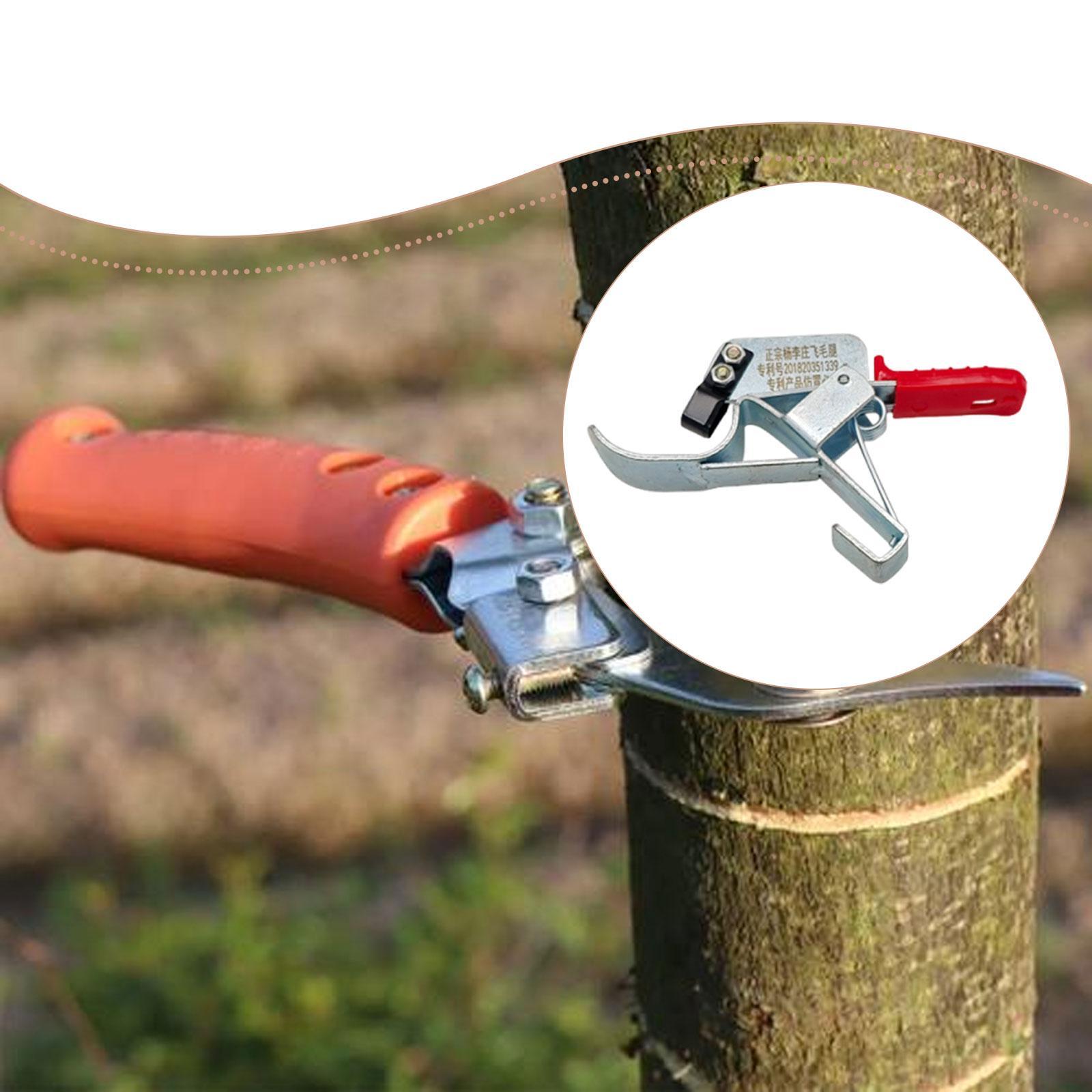 Gardening Tools Essential - Obstbaum-Umreifungswerkzeug, unverzichtbar, praktisch, effizient, einfach zu
