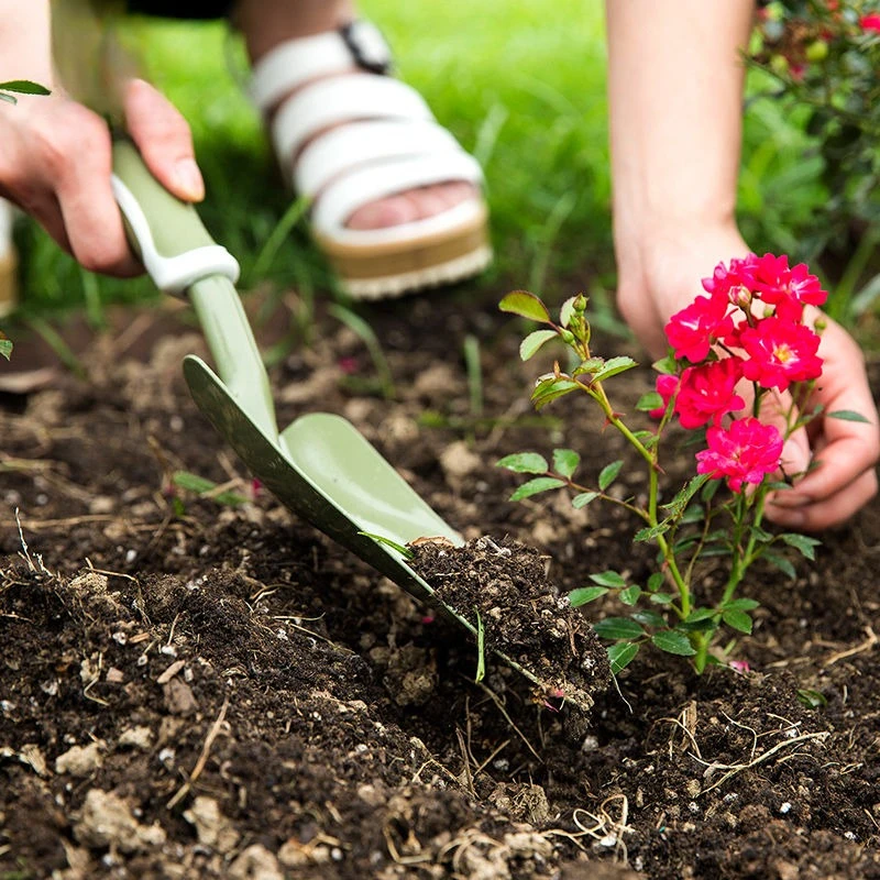 Spade Digging Fork - Langlebige Kleine Schaufel mit Krallen und