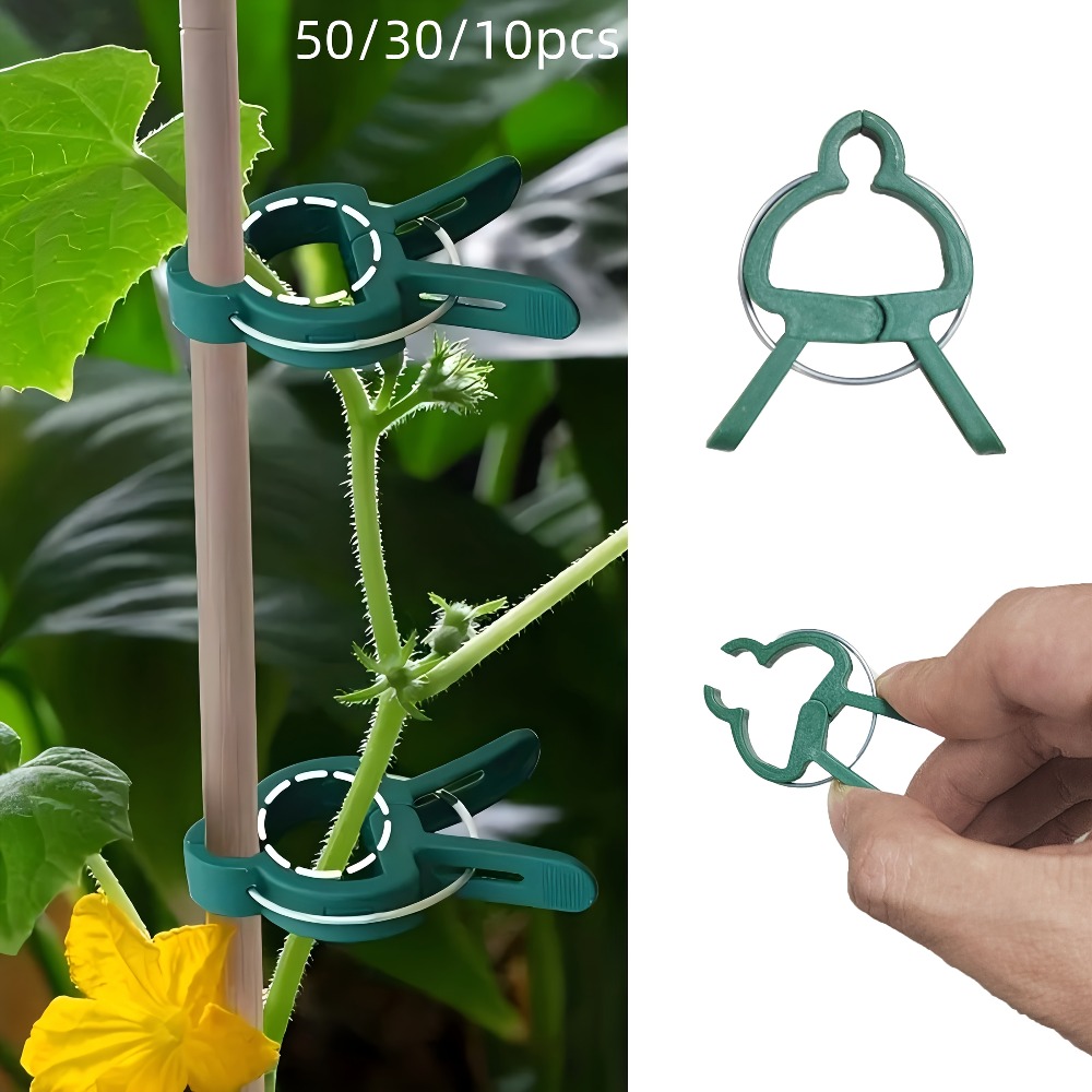 Gardening Tools Essential - 10/30/50 Stück verstellbare Pflanzenclips – wiederverwendbare