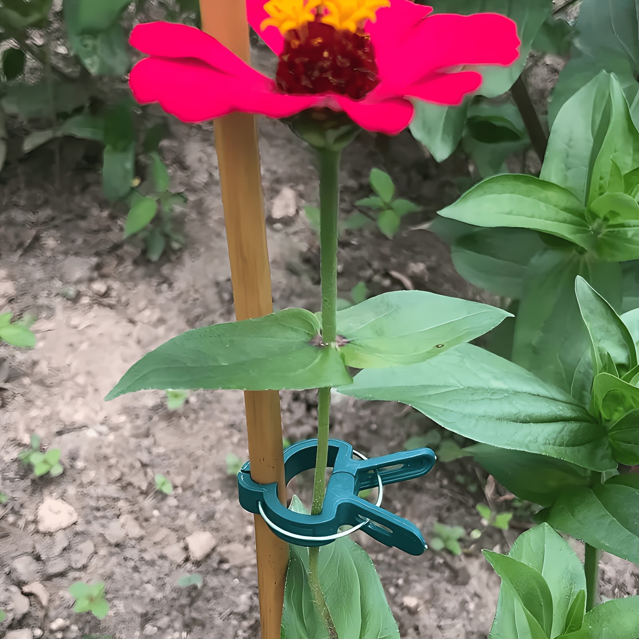 Gardening Tools Essential - 5 Stück verstellbare Pflanzenclips, groß oder