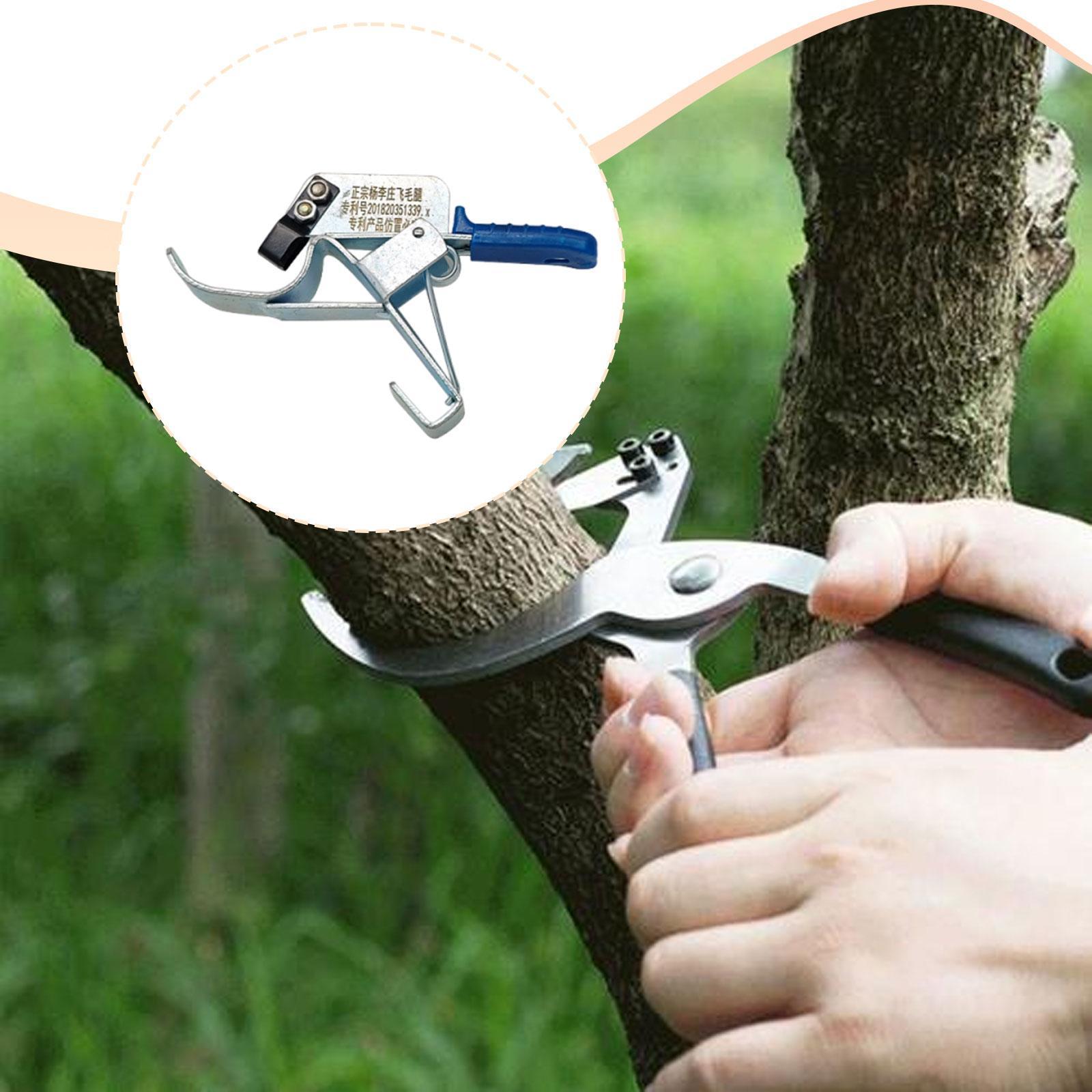 Obstbaum-Umreifungswerkzeug, u – Gardening Tools Essential Bewertung und Preis