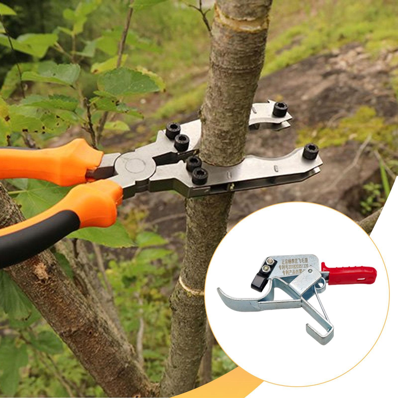 Obstbaum-Umreifungswerkzeug, u – Gardening Tools Essential Bewertung und Preis