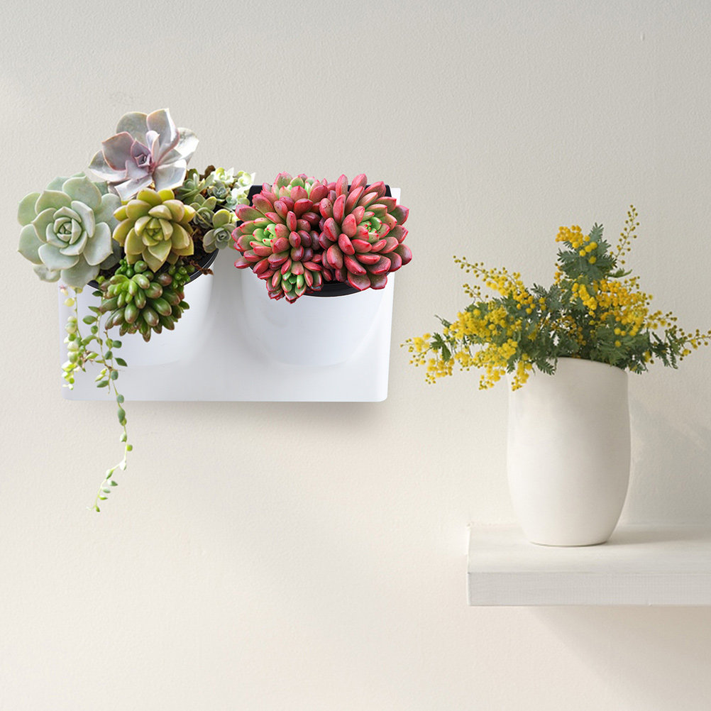 Selbstbewässernder Blumentopf  – Self-Watering Planter Bewertung und Preis