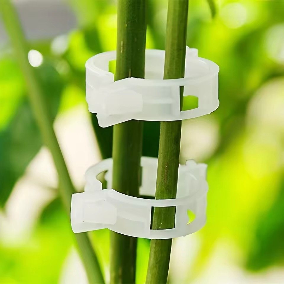 20 Stück Pflanzenstützclips, w – Gardening Tools Vegetables Bewertung und Preis
