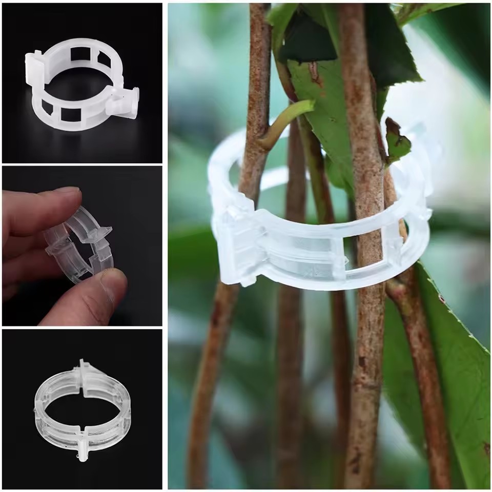 20 Stück Pflanzenstützclips, w – Gardening Tools Vegetables Bewertung und Preis