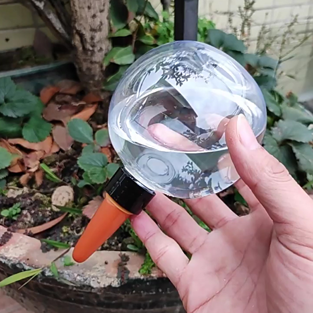 500ML Selbstbewässernde Kugeln – Automatic Plant Waterer Bewertung und Preis