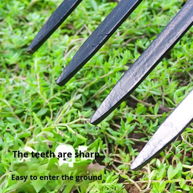 Vierzahnige Stahlgabel für Lan – Spade Digging Fork Bewertung und Preis