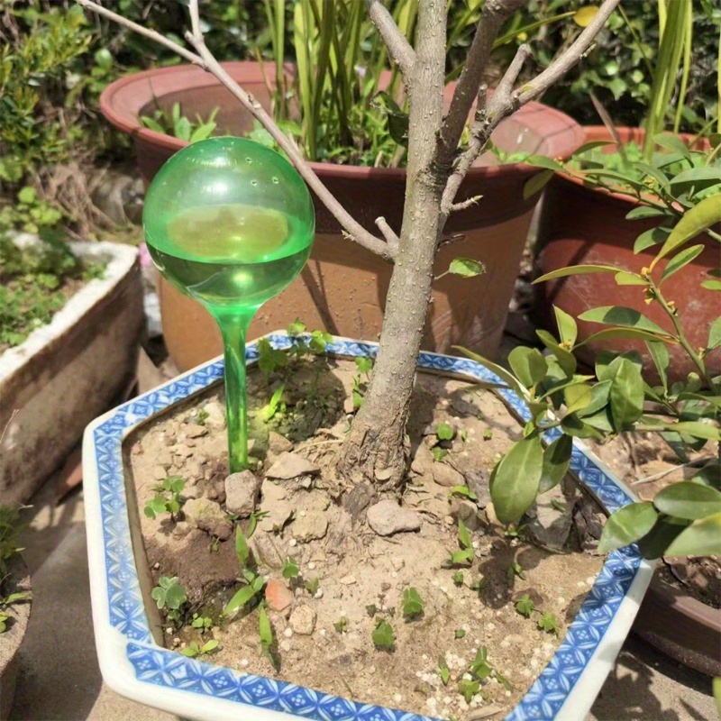 6 Stück Selbstbewässernde Bäll – Automatic Plant Waterer Bewertung und Preis