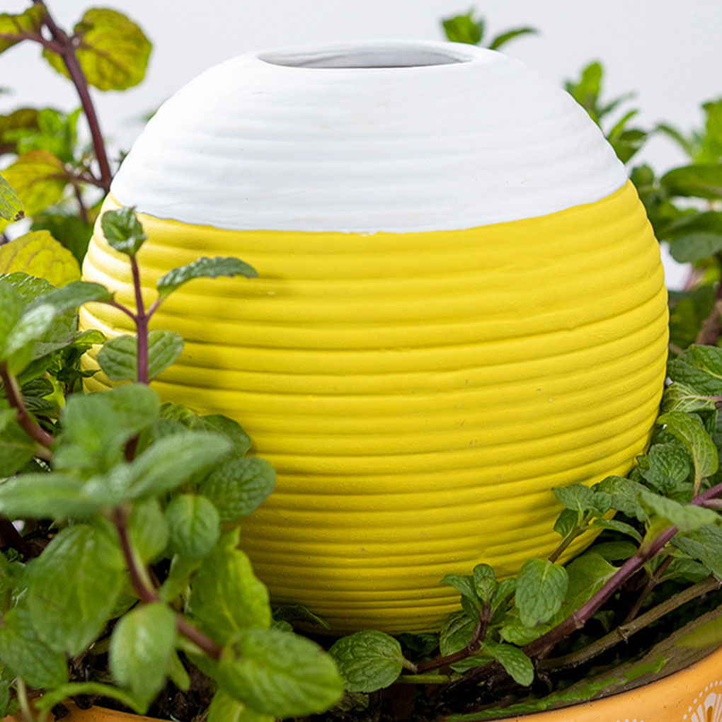 Automatisches Pflanzenbewässer – Gardening Tools Must Haves Bewertung und Preis