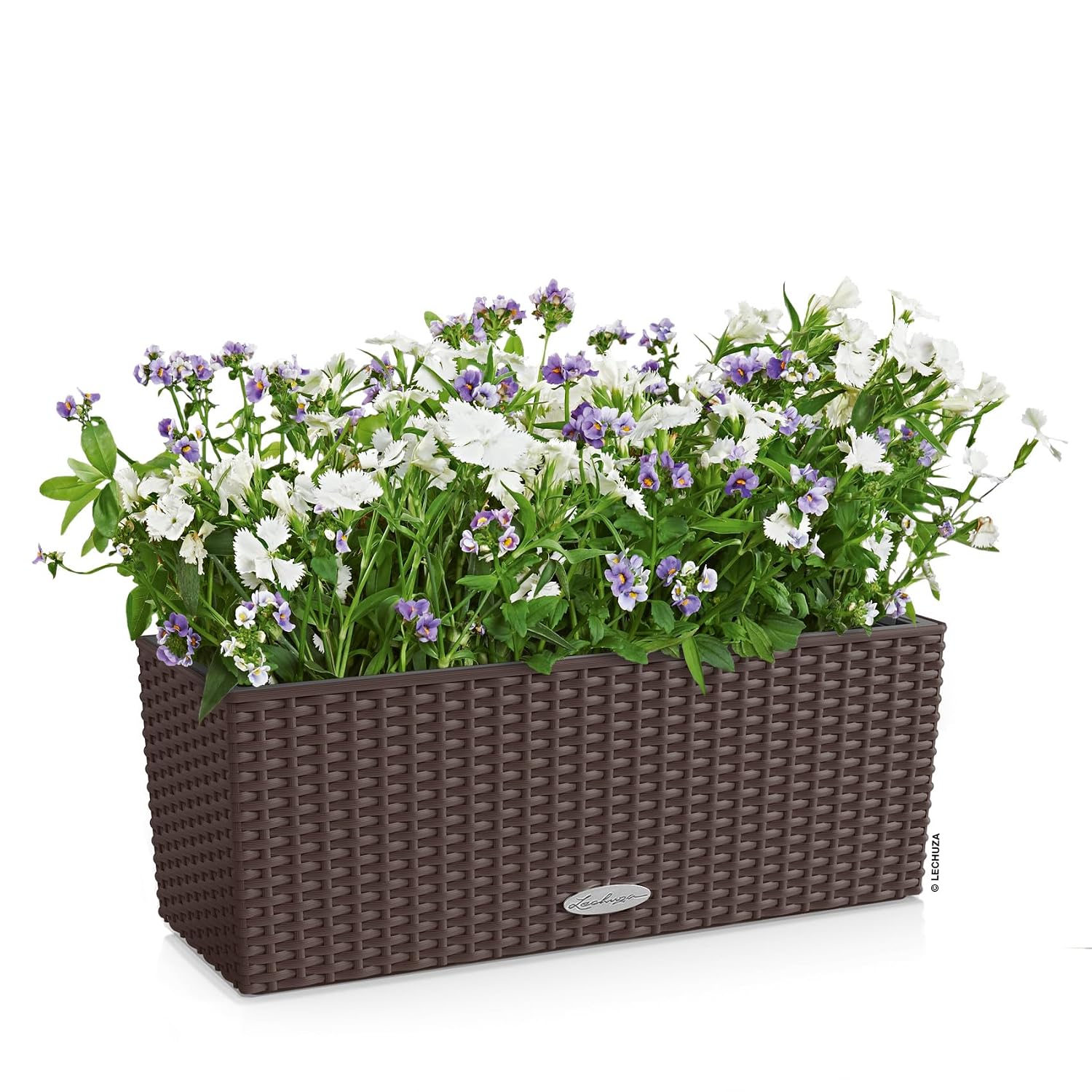 BALCONERA Cottage 50 Mocha, se – Self-Watering Planter Bewertung und Preis