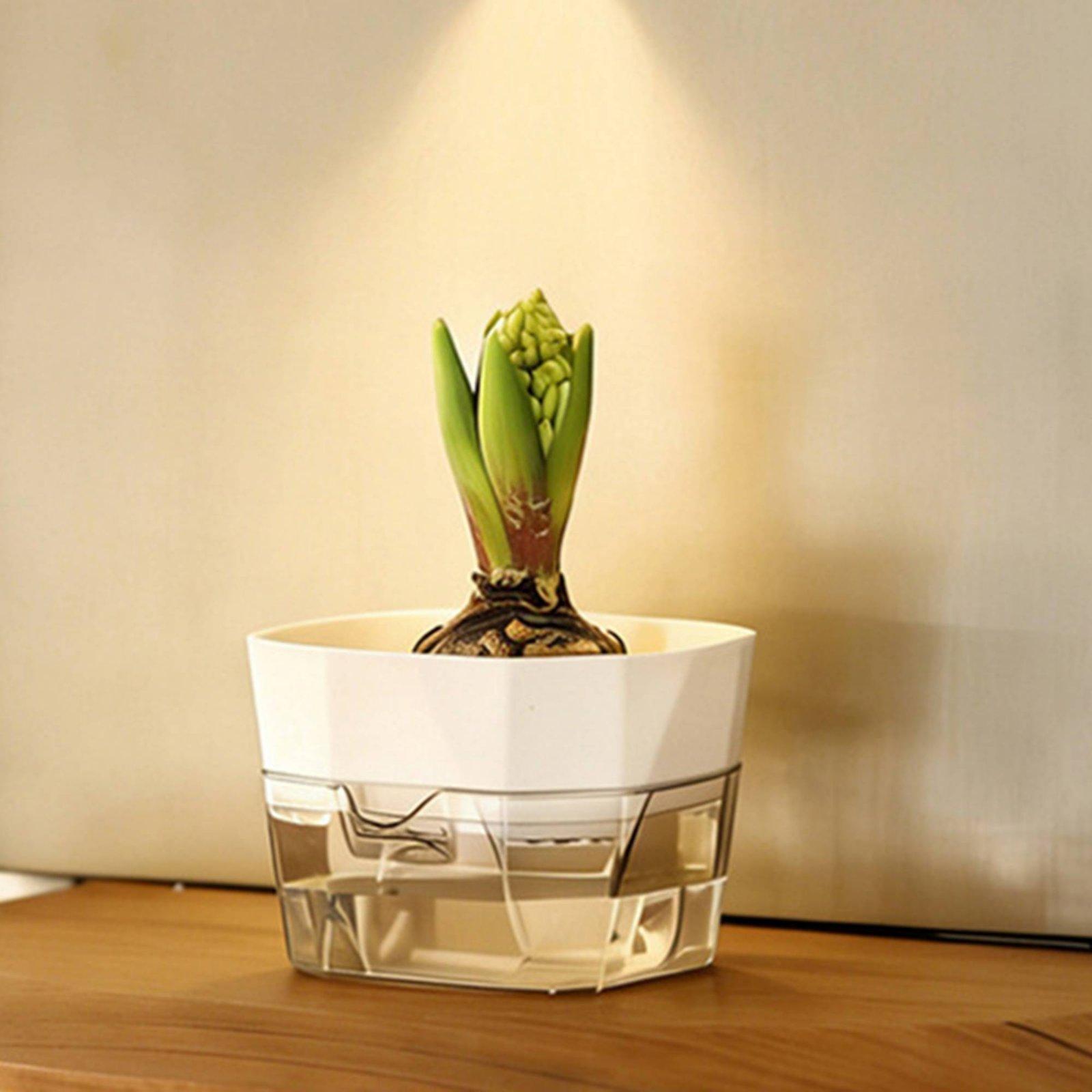 Hydroponische Vase mit Zwei Sc – Self-Watering Planter Bewertung und Preis