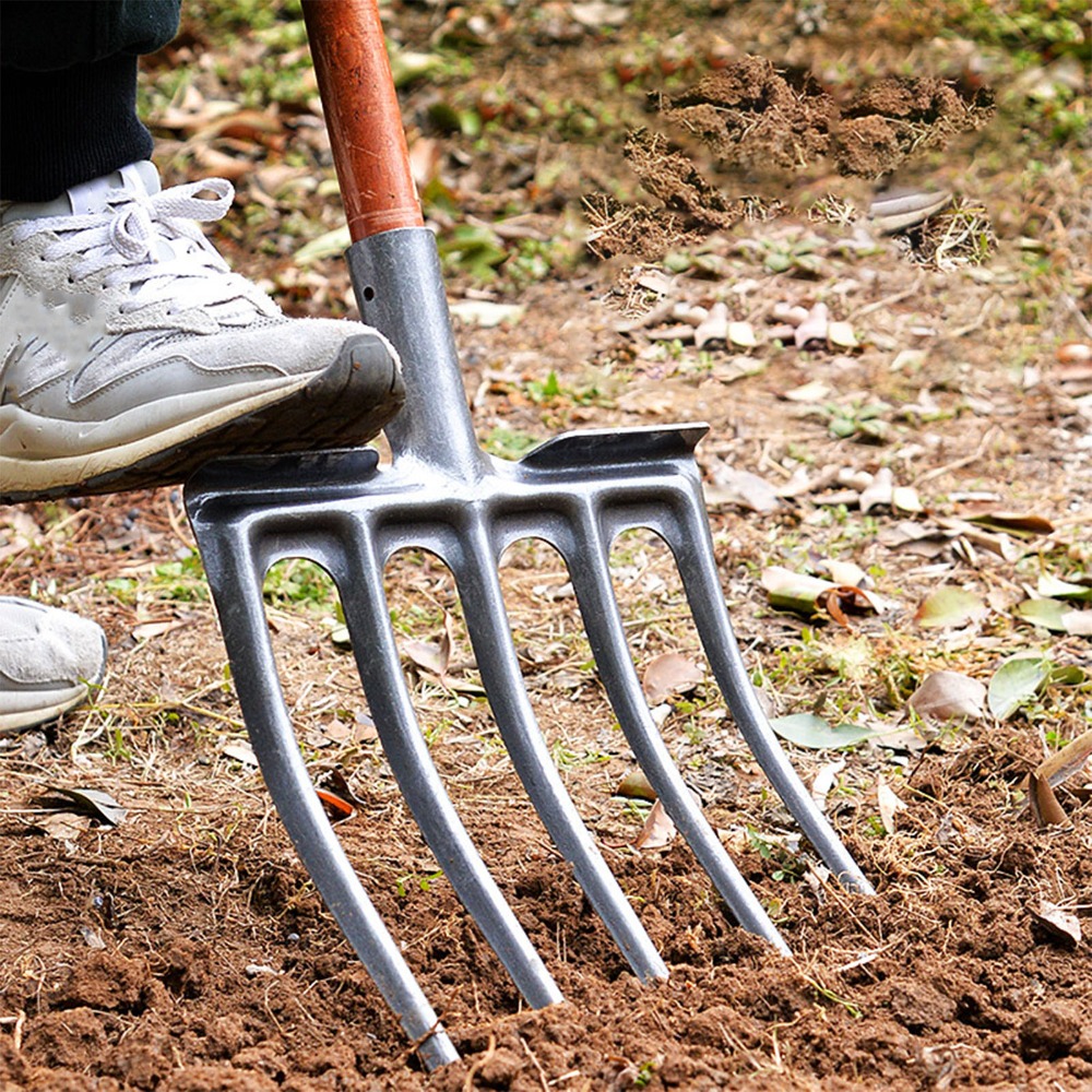 Robuste Grabegabel aus Kohlens – Spade Digging Fork Bewertung und Preis
