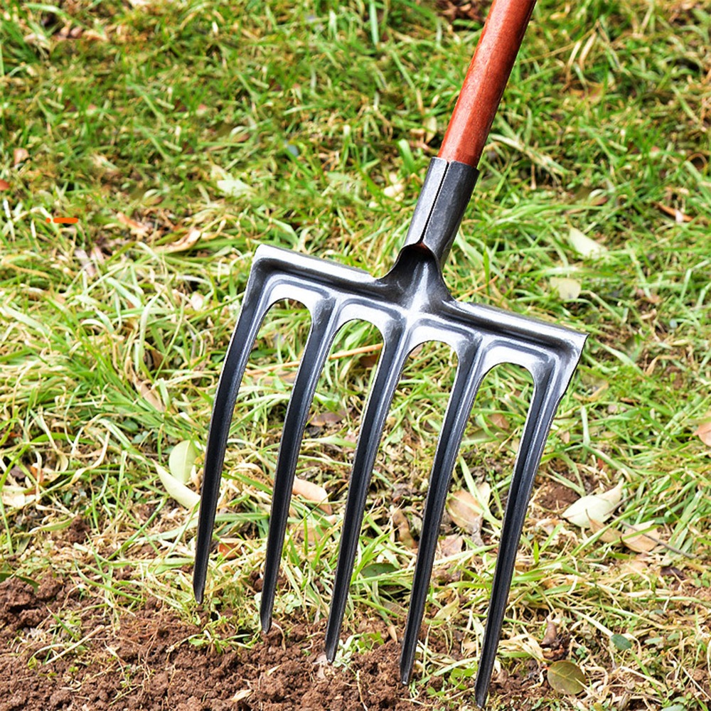 Robuste Grabegabel aus Kohlens – Spade Digging Fork Bewertung und Preis