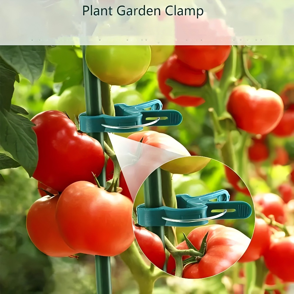 10/30/50 Stück verstellbare Pf – Gardening Tools Essential Bewertung und Preis