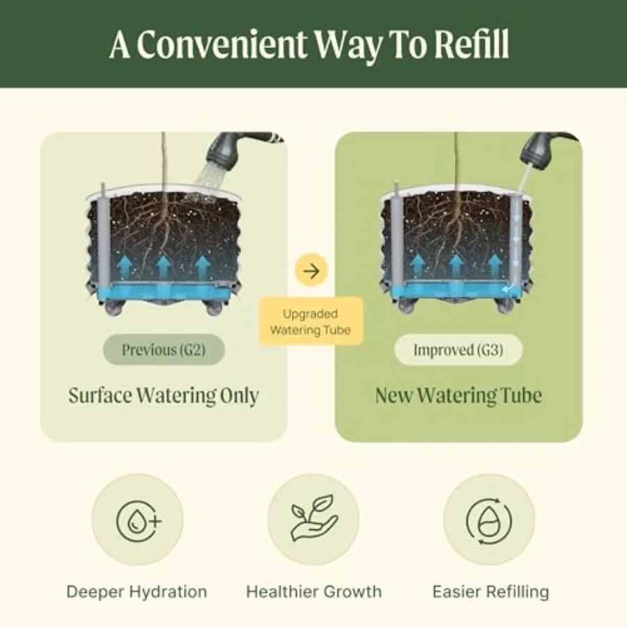 Rollender Zitrusbaum-Pflanzküb – Self-Watering Planter Bewertung und Preis