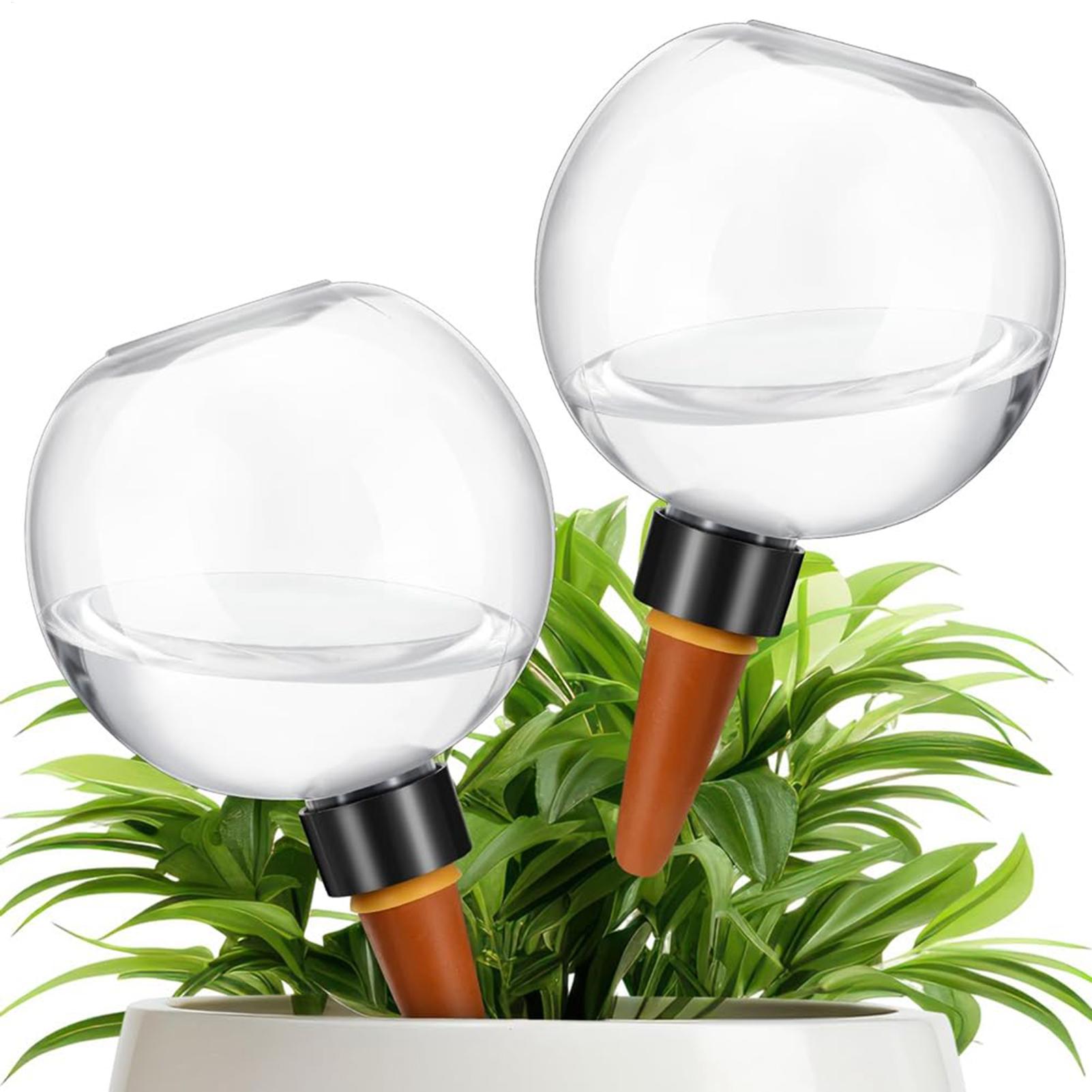 500 ml automatische Pflanzenbe – Self-Watering Planter Bewertung und Preis