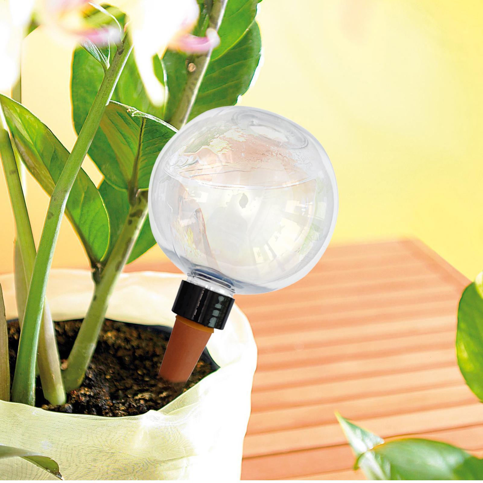 500 ml automatische Pflanzenbe – Self-Watering Planter Bewertung und Preis