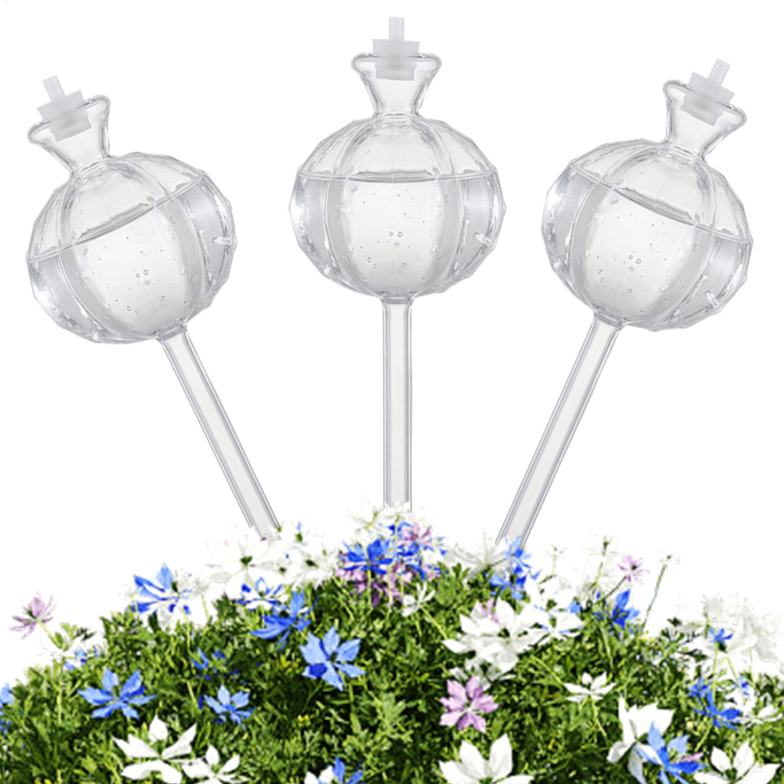 Pflanzenbewässerungskugeln, 3  – Automatic Plant Waterer Bewertung und Preis